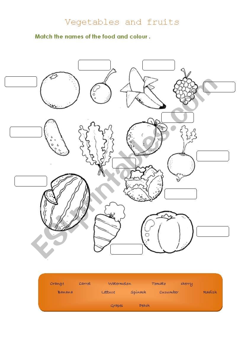 food worksheet