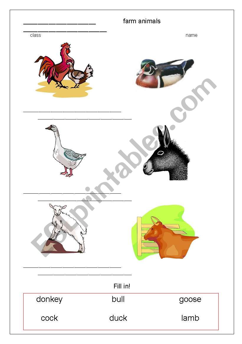 farm animals worksheet