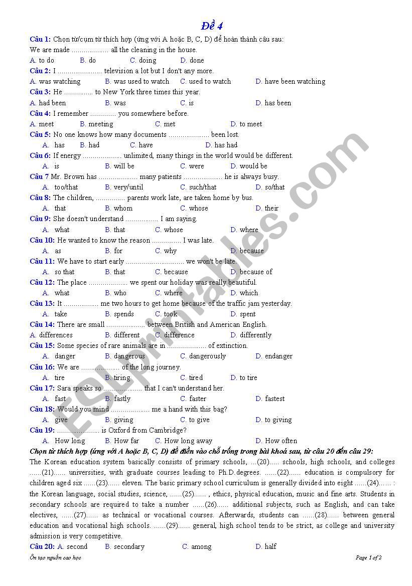 Grammar Revision Exercise worksheet