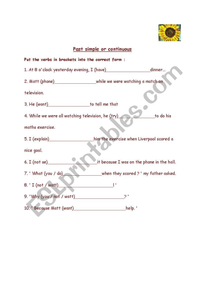 Past Simple and Continuous worksheet