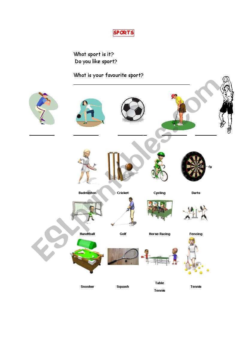 vocabulary about sports worksheet