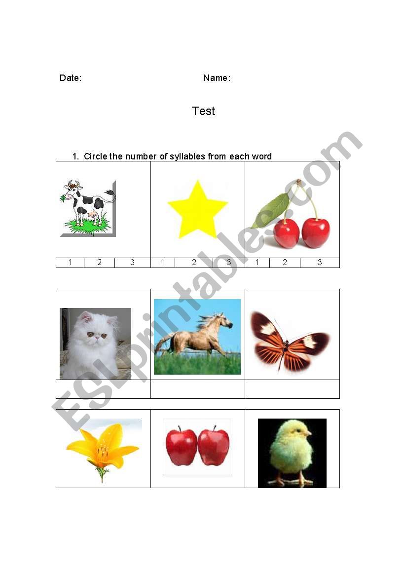 TEST worksheet