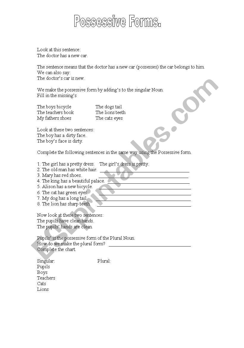 Possessive S worksheet