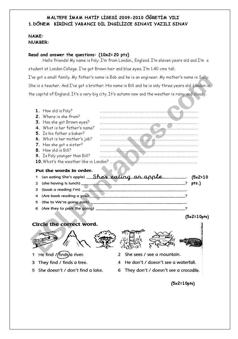 worksheet worksheet