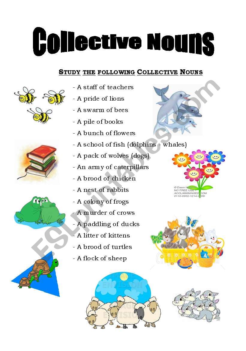 Collective Nouns ESL Worksheet By Nordynour