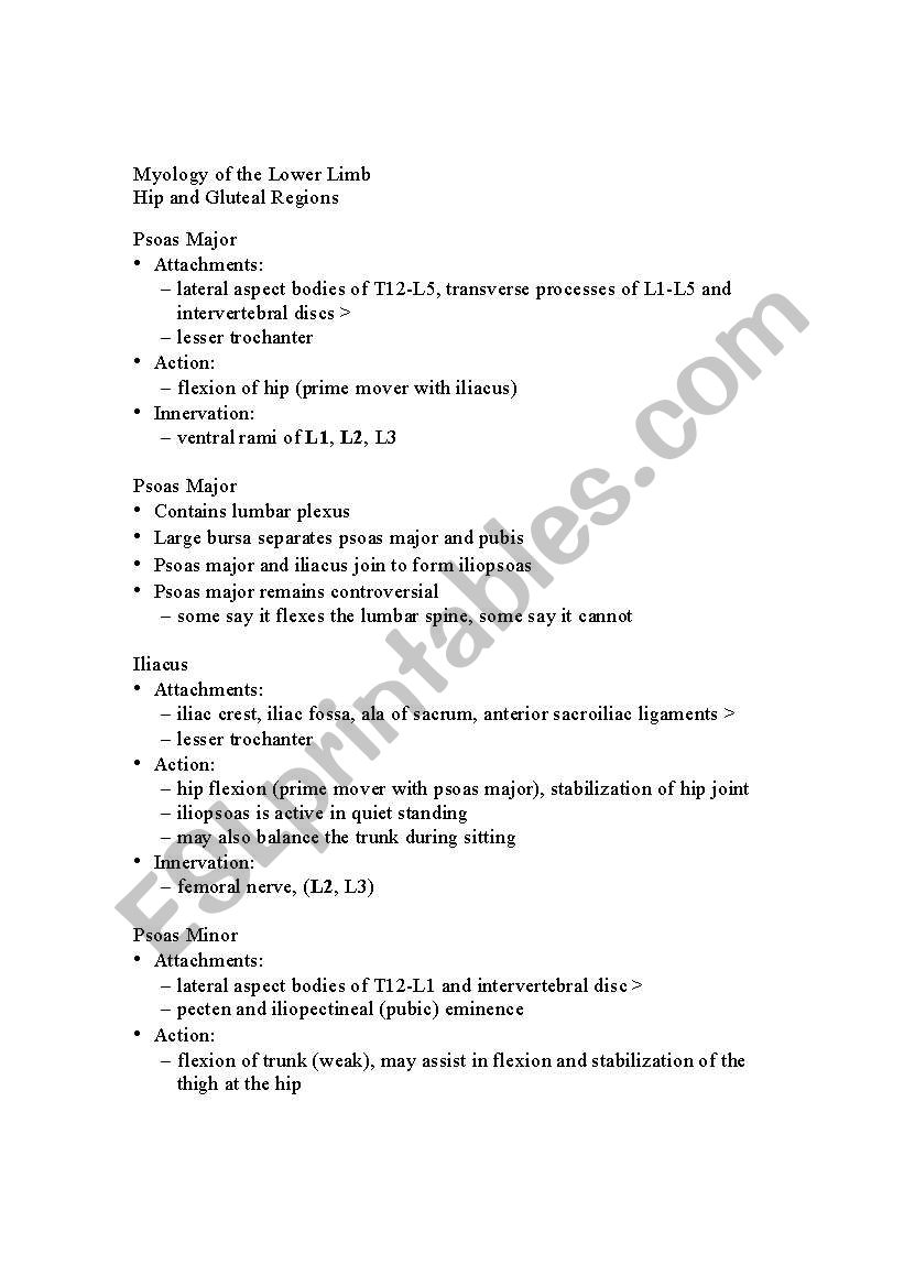 Myology of the Lower limb worksheet