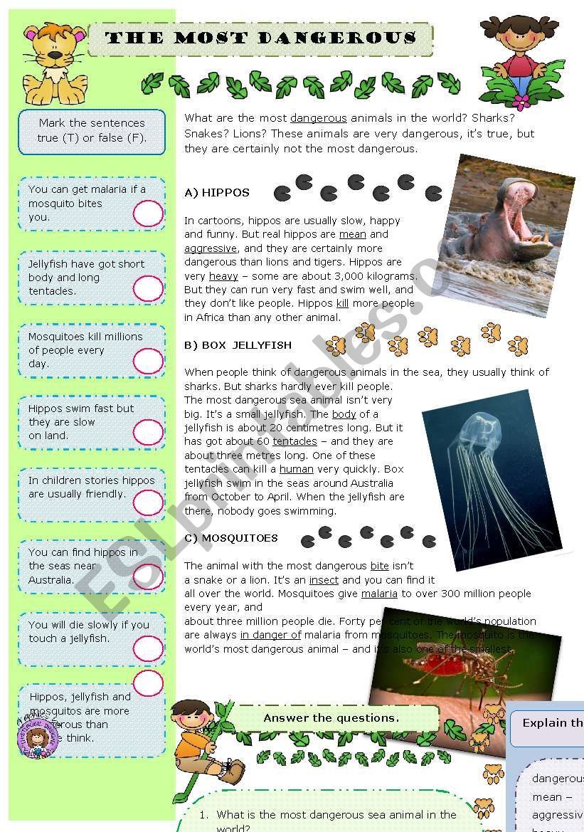 The most dangerous animals in the world - ESL worksheet by aguniaa