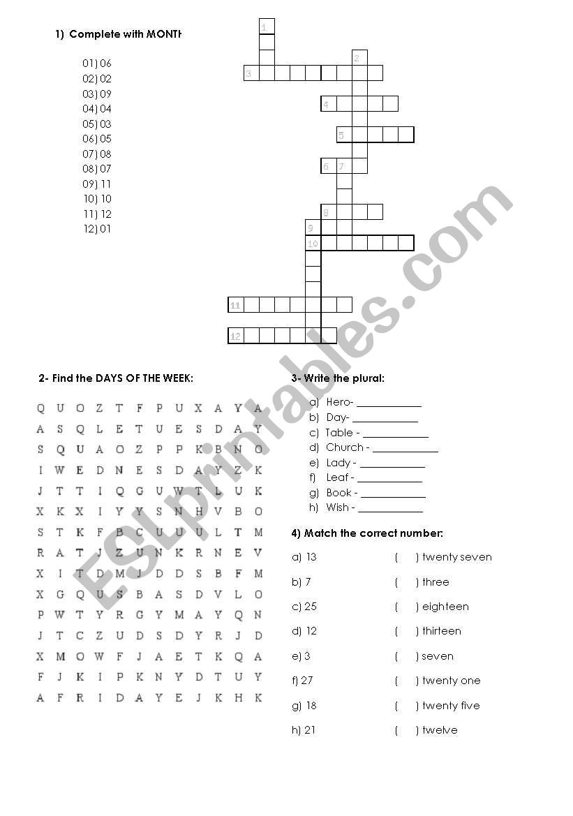 EXERCISES worksheet