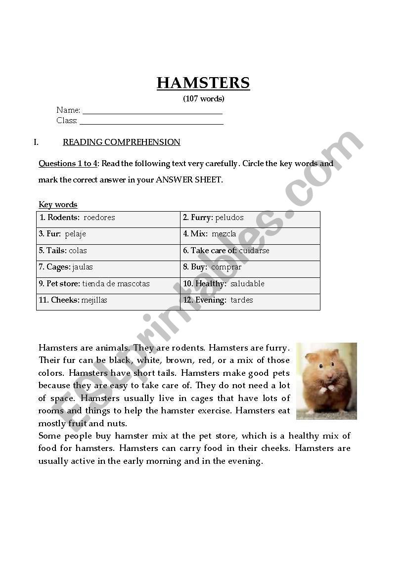 Reading and language usage worksheet