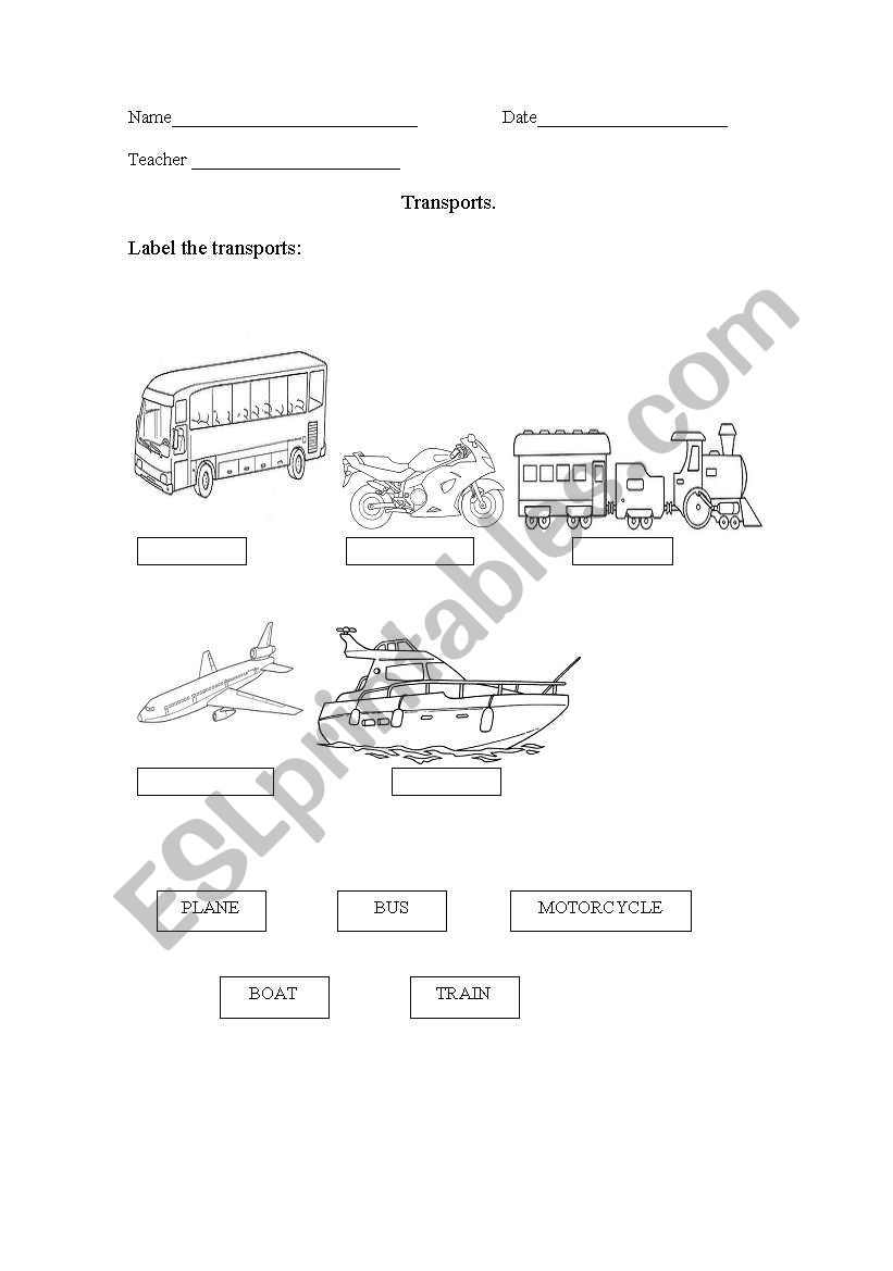 Transports. worksheet