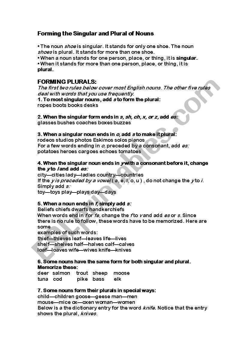 Nouns of number worksheet