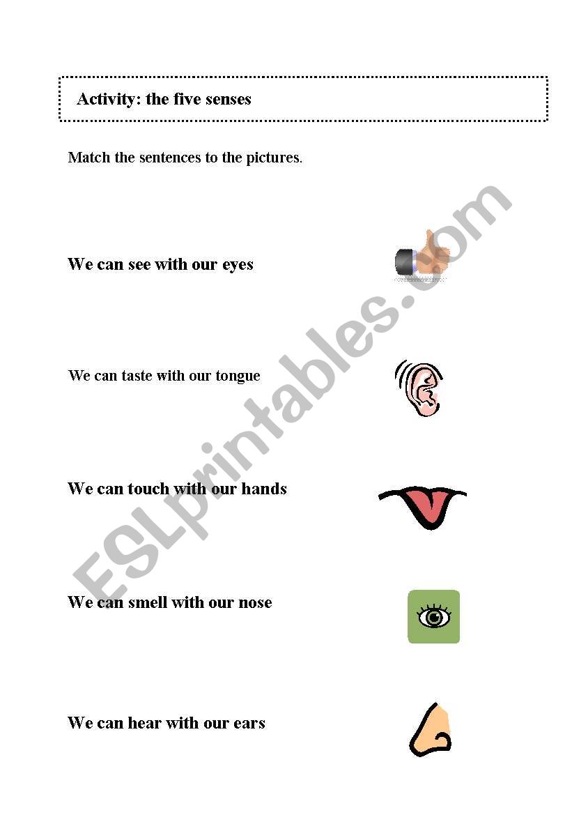 The five senses worksheet