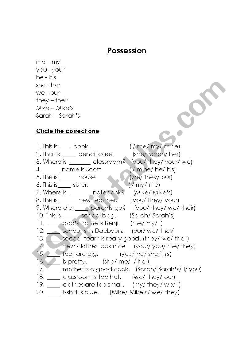 Possession worksheet