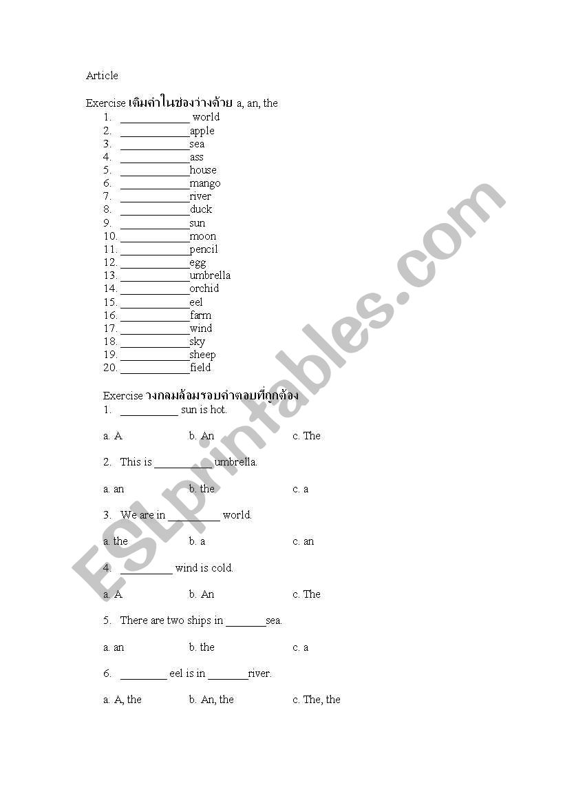 article worksheet