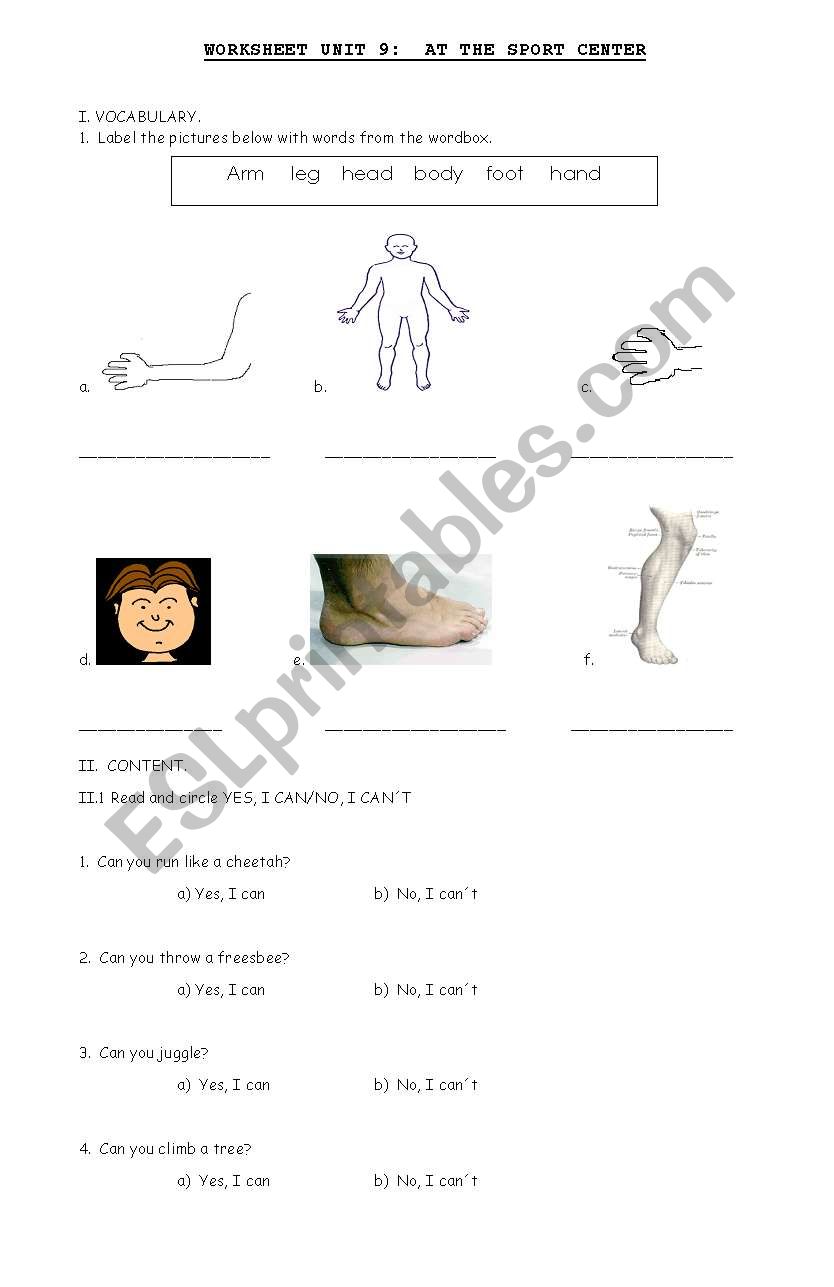 Parts of the body/Can-cant worksheet