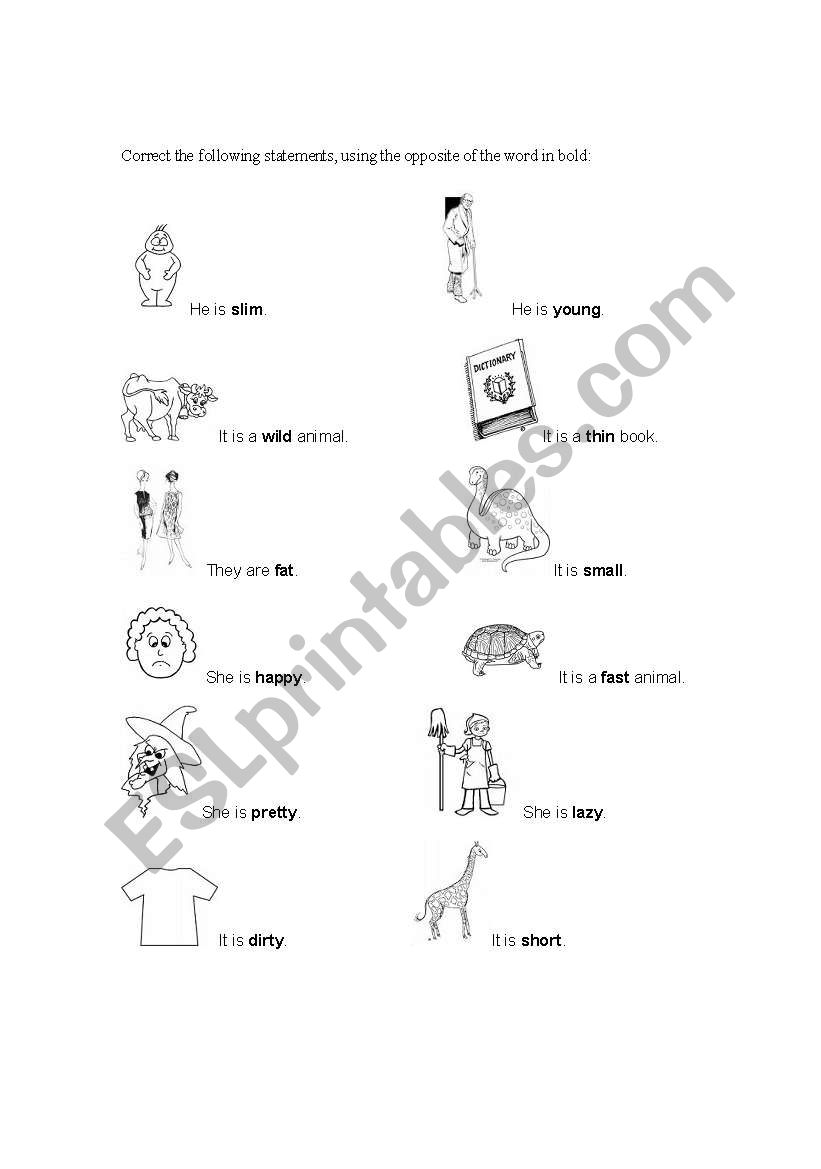 English Worksheets Adjective Practice