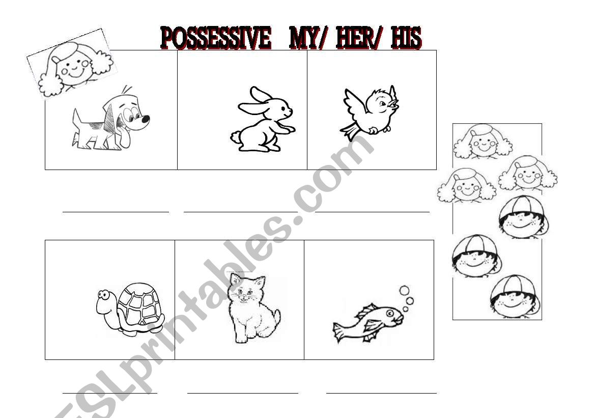 possessive my, his, her worksheet