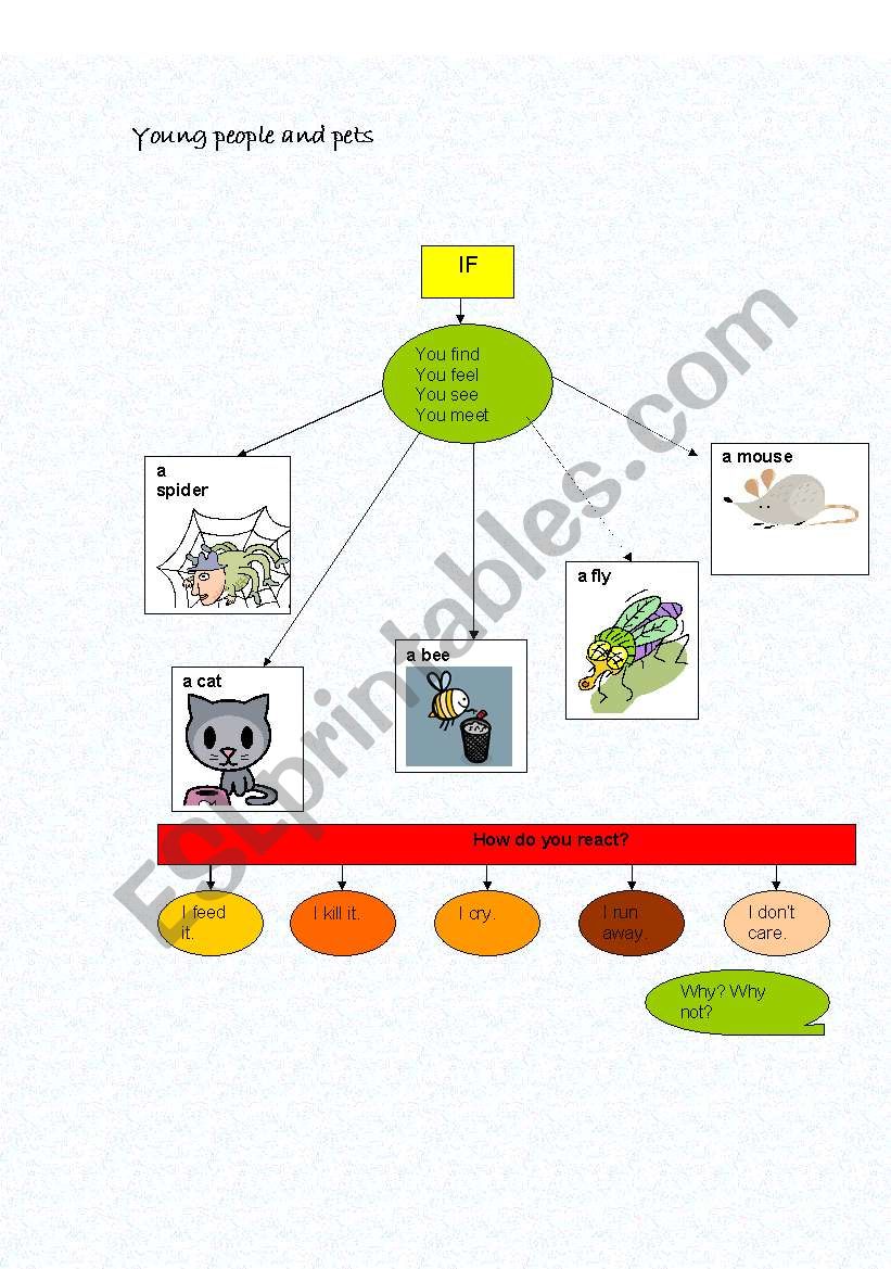 Young people and pets worksheet