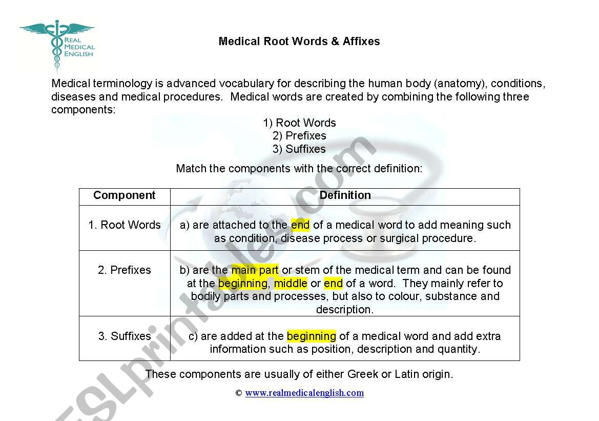 1. Medical Terminology - Introduction