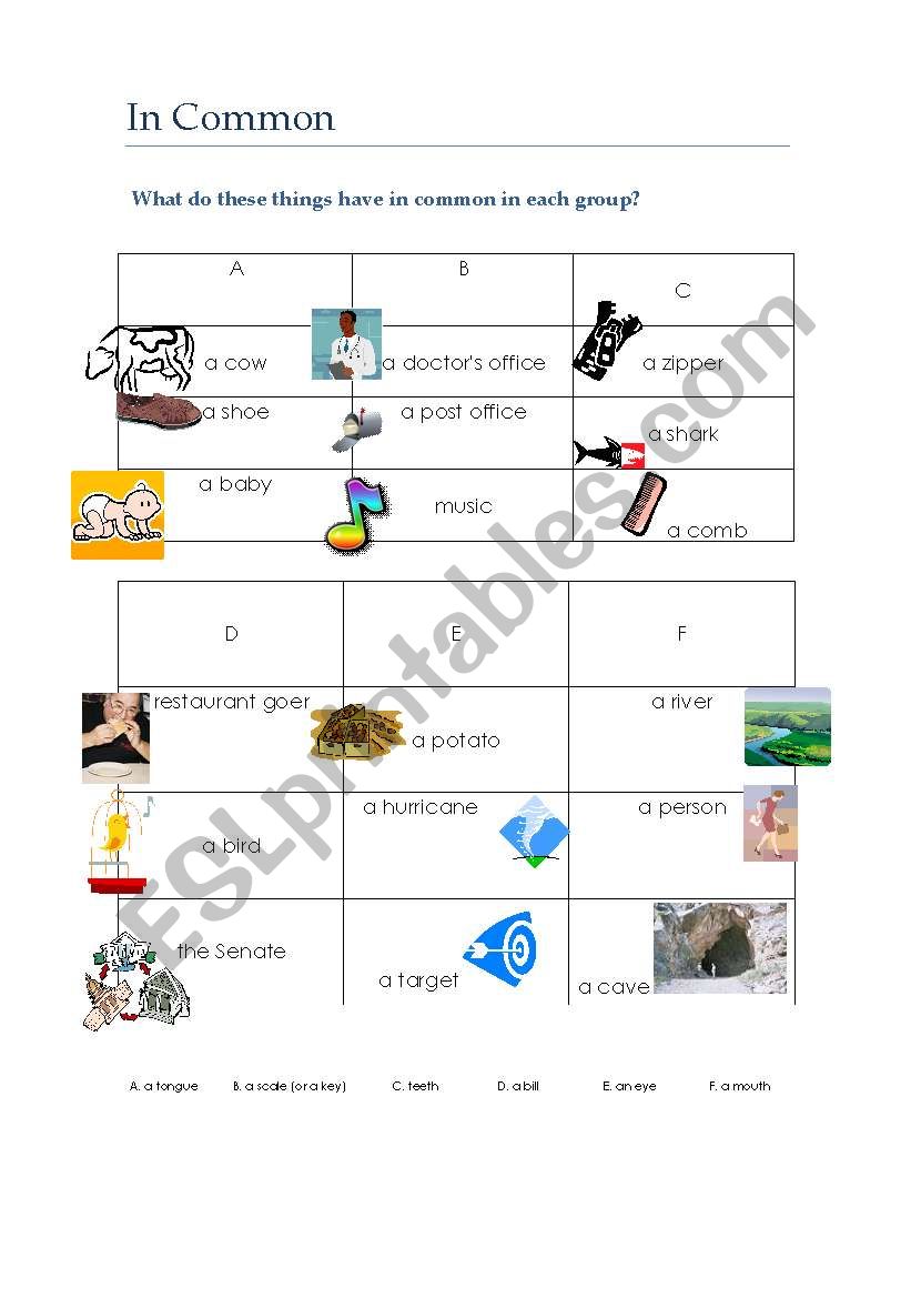 riddles worksheet