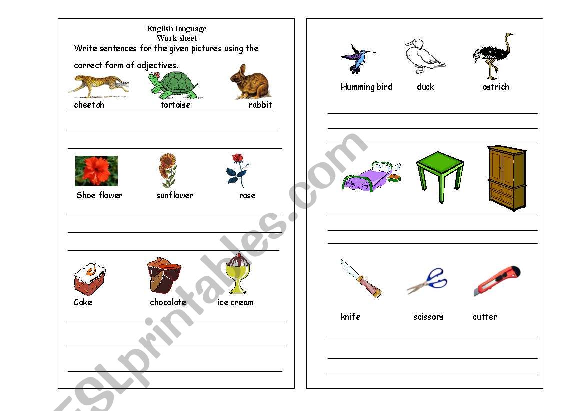 adjectives worksheet