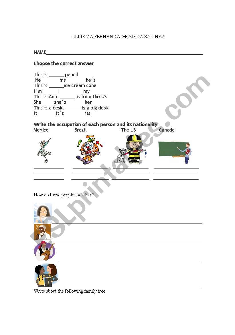 quiz- family tree and possessives