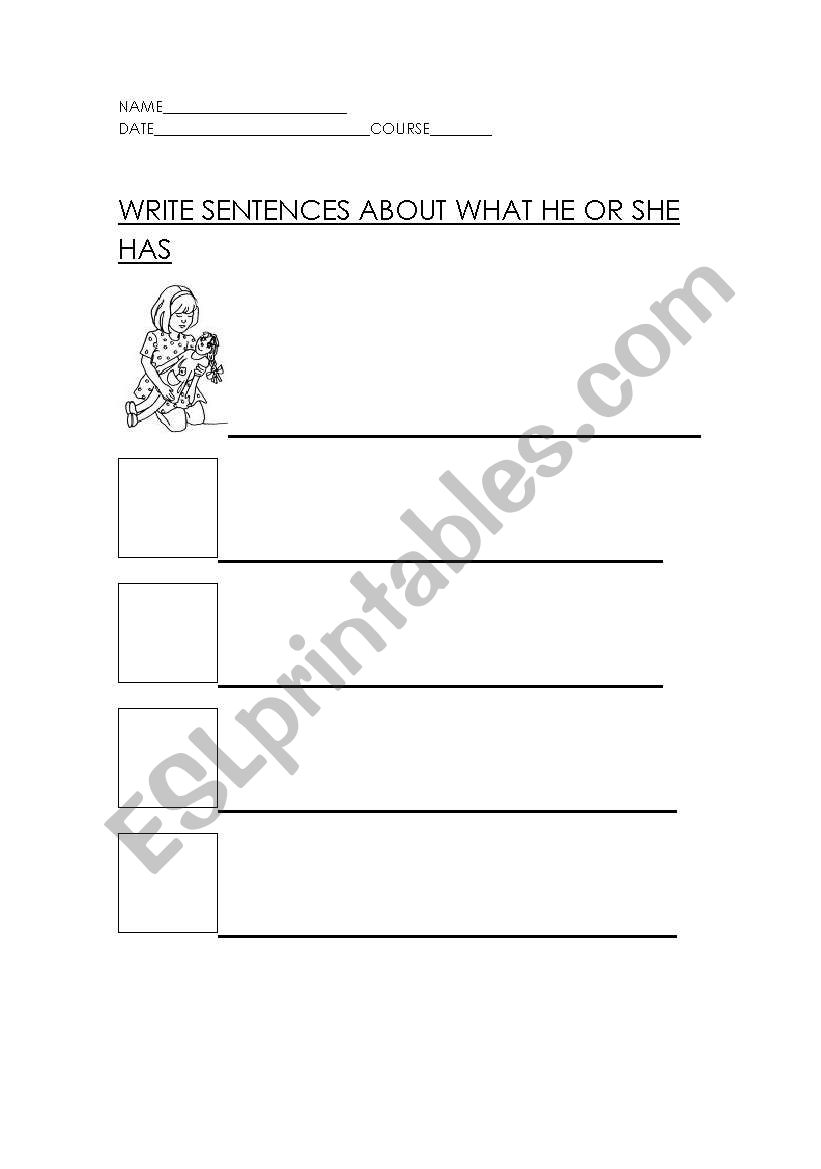 what she or he has? worksheet