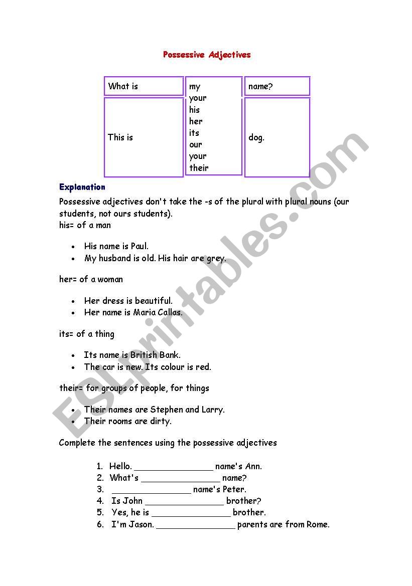 Possessive Adjectives worksheet