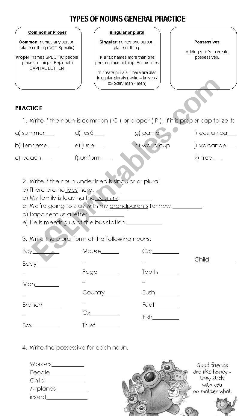 Types Of Nouns ESL Worksheet By Lynn 28