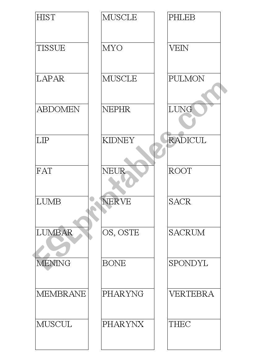MEDICAL SUFFIXES MEMORY CARDS worksheet