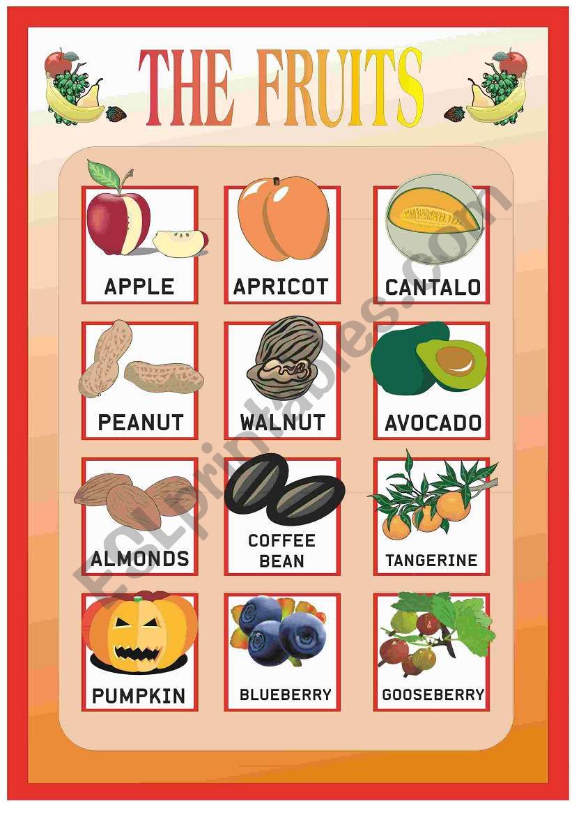 THE FRUITS worksheet