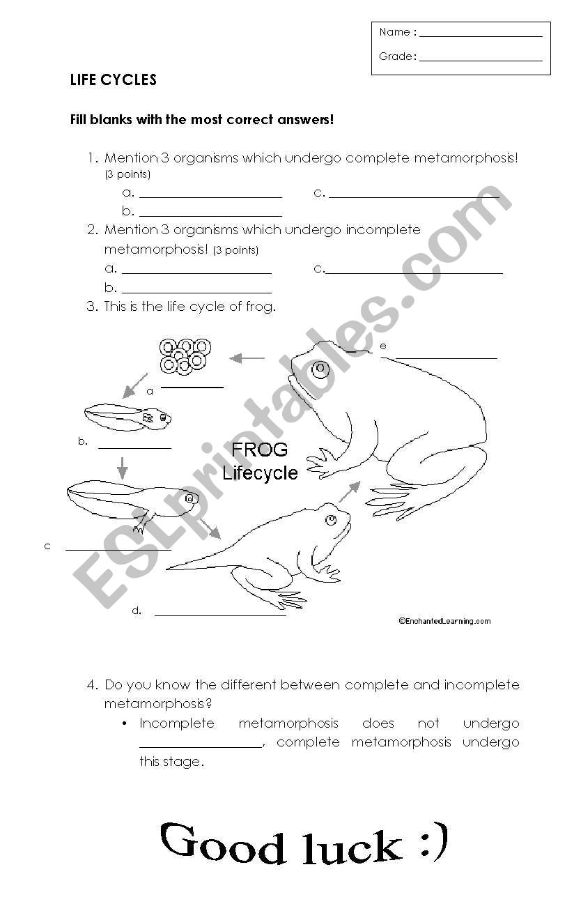 English worksheets: LIFE CYCLE