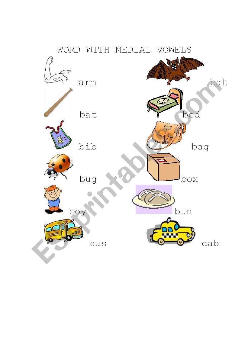 Word with Medial Vowels worksheet