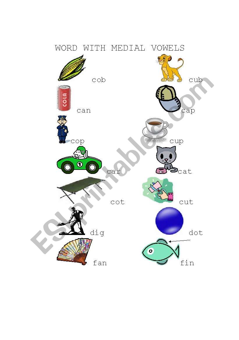 Medial Vowels worksheet