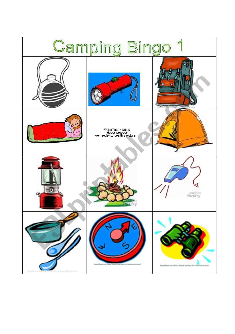 Camping Bingo worksheet