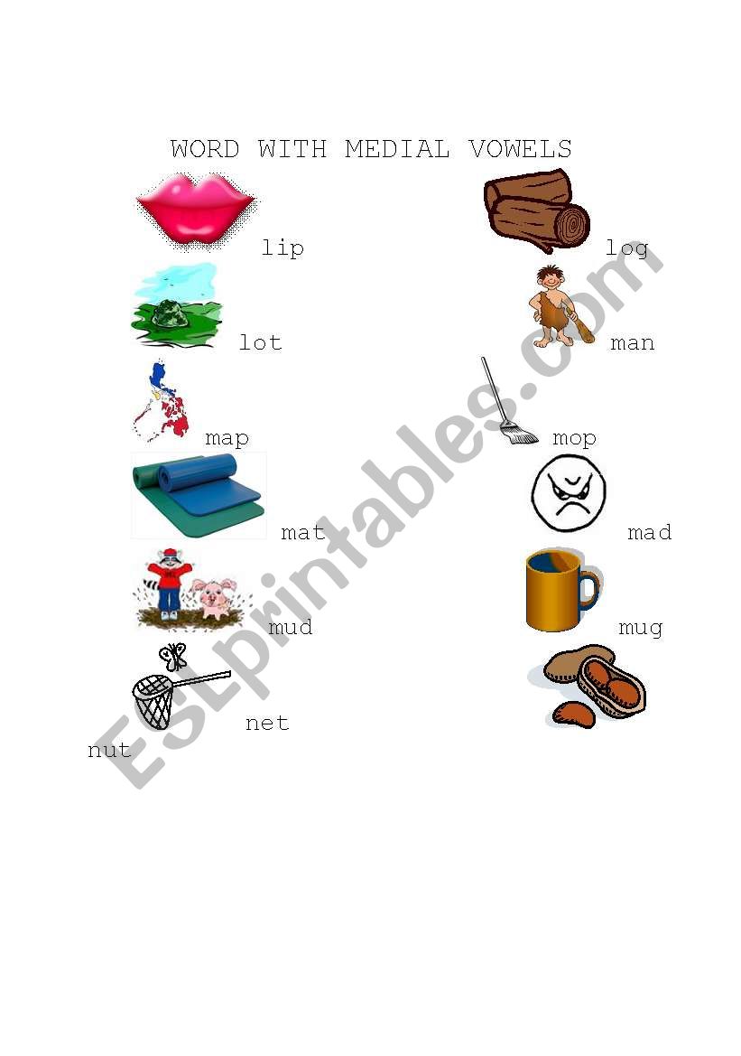 Words with Medial Vowels worksheet