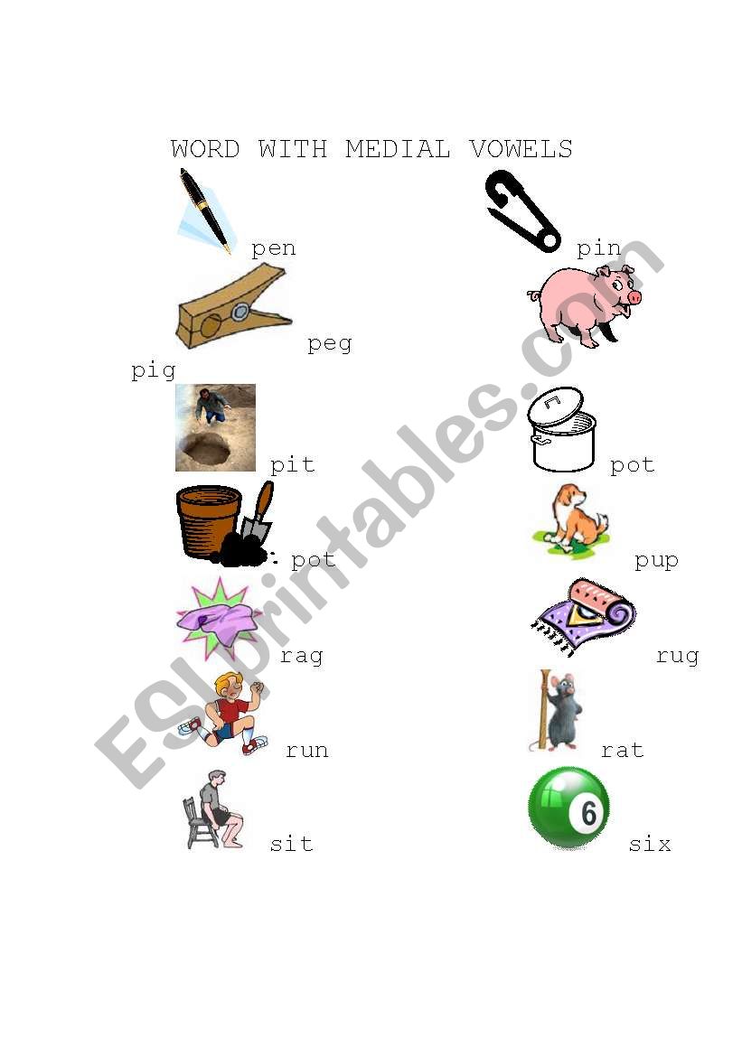 Words with Medial Vowels worksheet