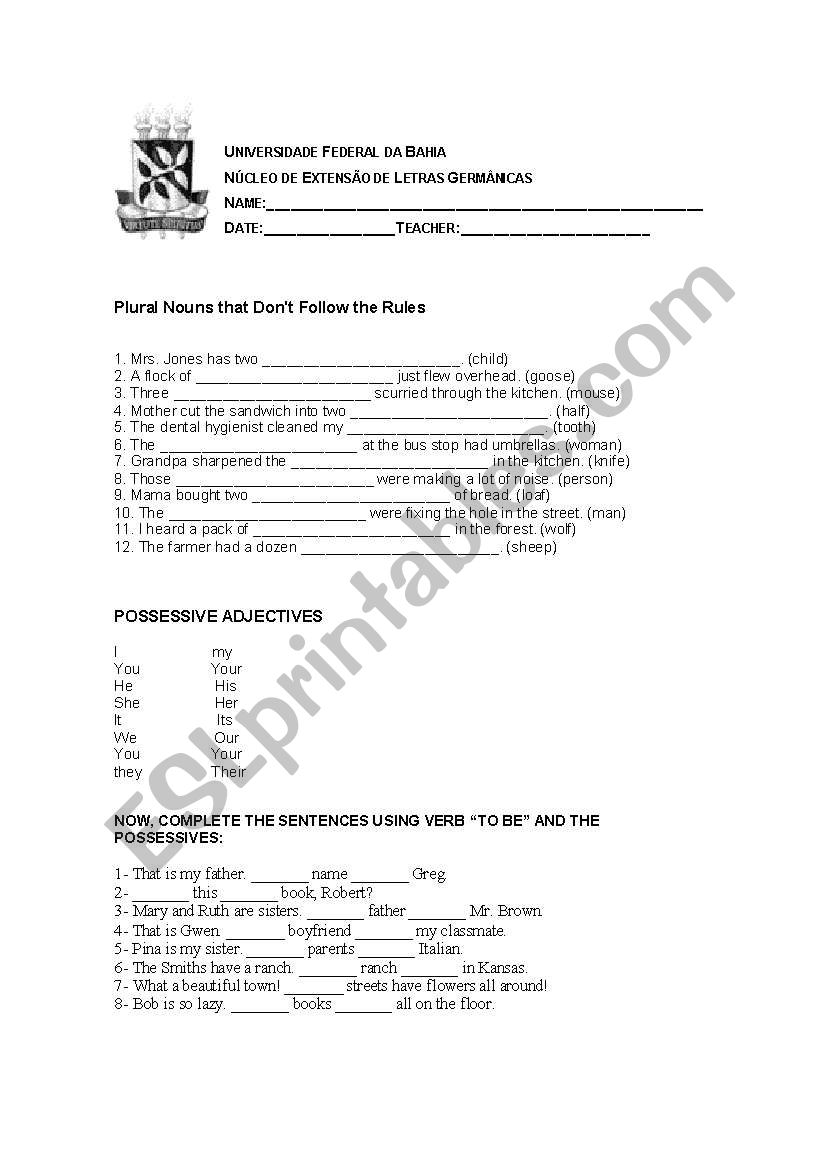 adjectives worksheet