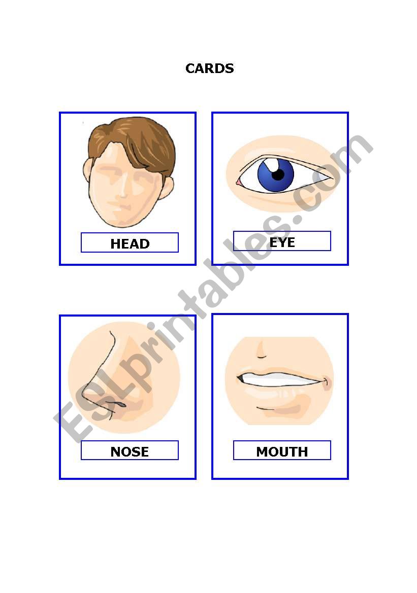 flashcards worksheet