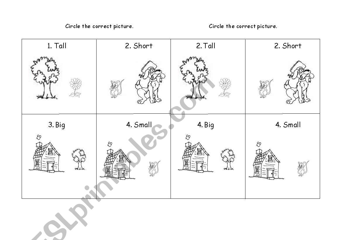 Size worksheet