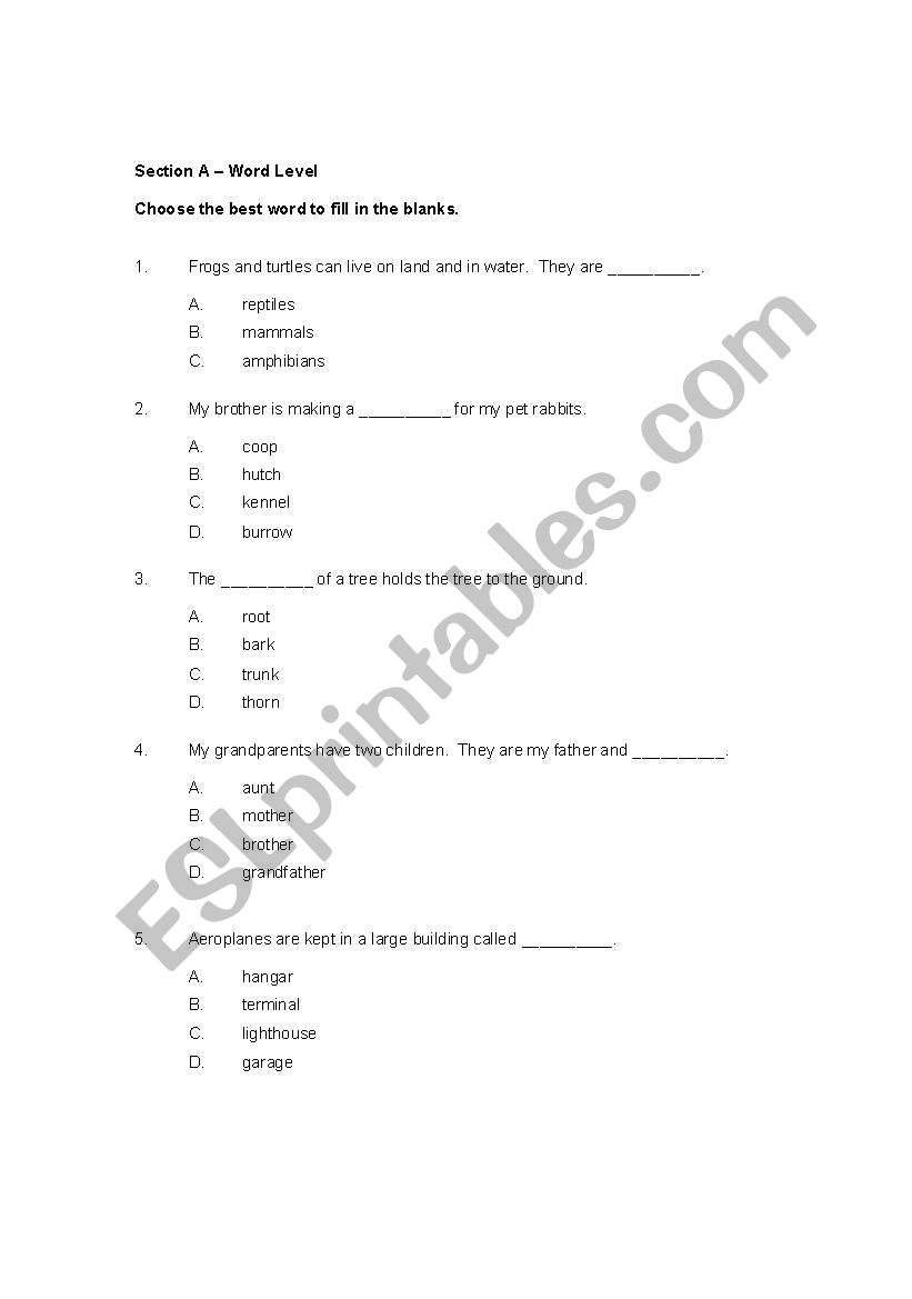 Vocabulary worksheet