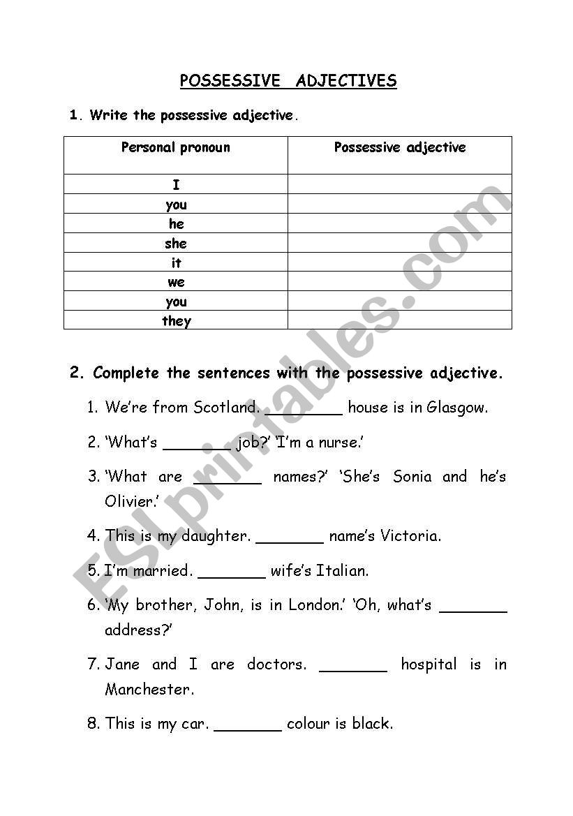 Possessive adjectives worksheet