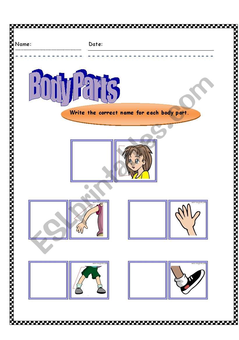 Body Parts worksheet