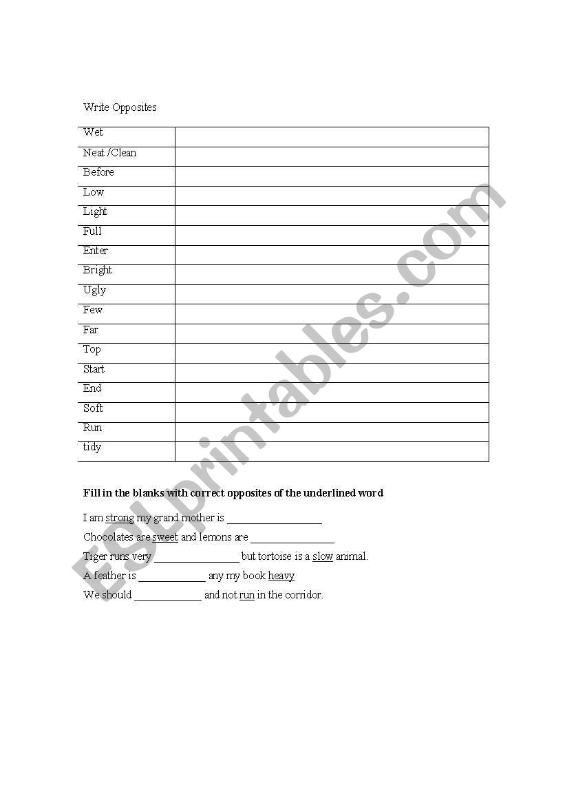 Opposites worksheet