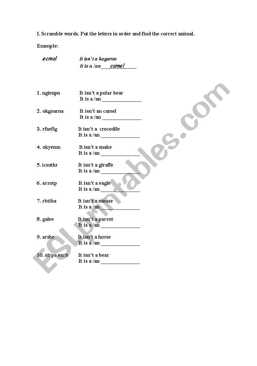 Articles A and An + animals worksheet