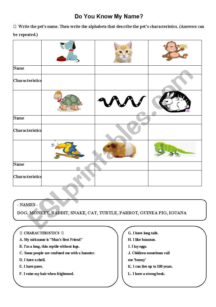 English worksheets: Pets and Characteristics