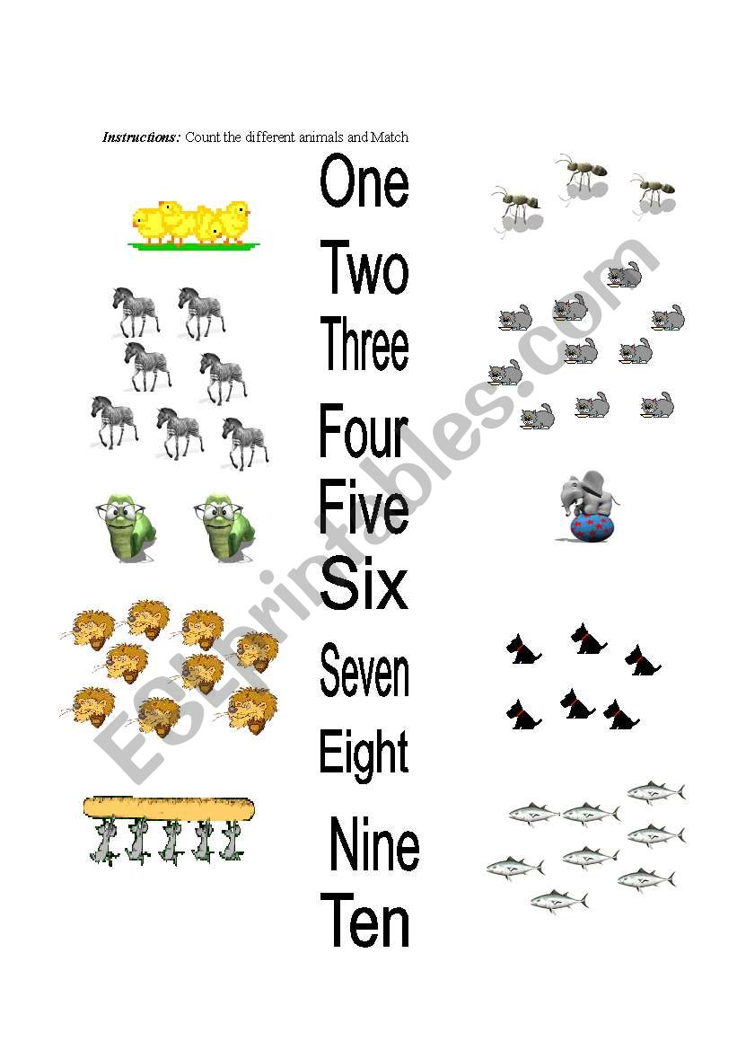 Number Activity worksheet