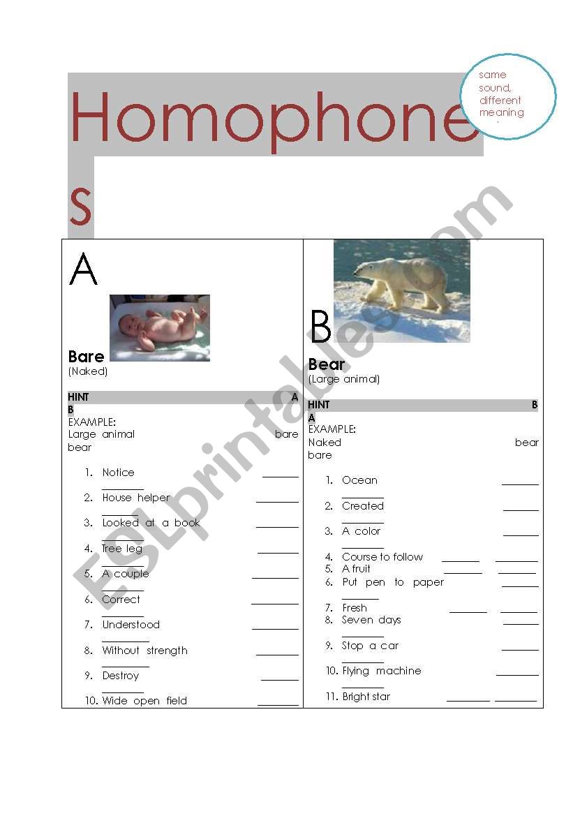 homophones worksheet