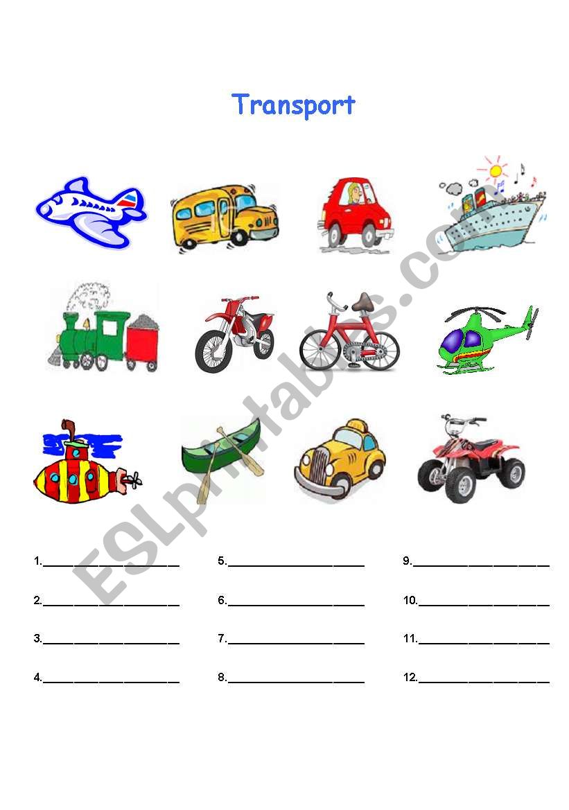 Transport worksheet