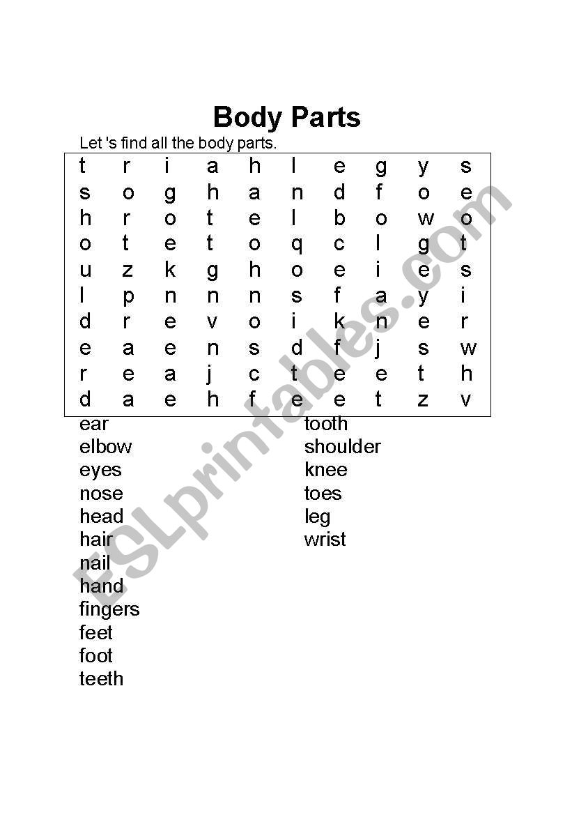 Body parts worksheet